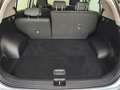 Kia Sportage 1.6 crdi mhev Business Class 2wd 136cv dct Weiß - thumbnail 14