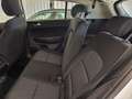 Kia Sportage 1.6 crdi mhev Business Class 2wd 136cv dct Weiß - thumbnail 8