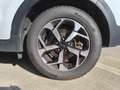 Kia Sportage 1.6 crdi mhev Business Class 2wd 136cv dct Weiß - thumbnail 5