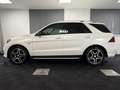 Mercedes-Benz GLE 450 43 4M AMG 360G AHK ILS-LED Distronic+ Weiß - thumbnail 5