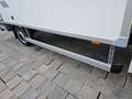Iveco Daily 35S18 3.0 Koffer LBW Bär ACC LED sofort! Weiß - thumbnail 26