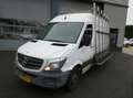Mercedes-Benz Sprinter 213 2.2 CDI 366 L2H2 - thumbnail 2