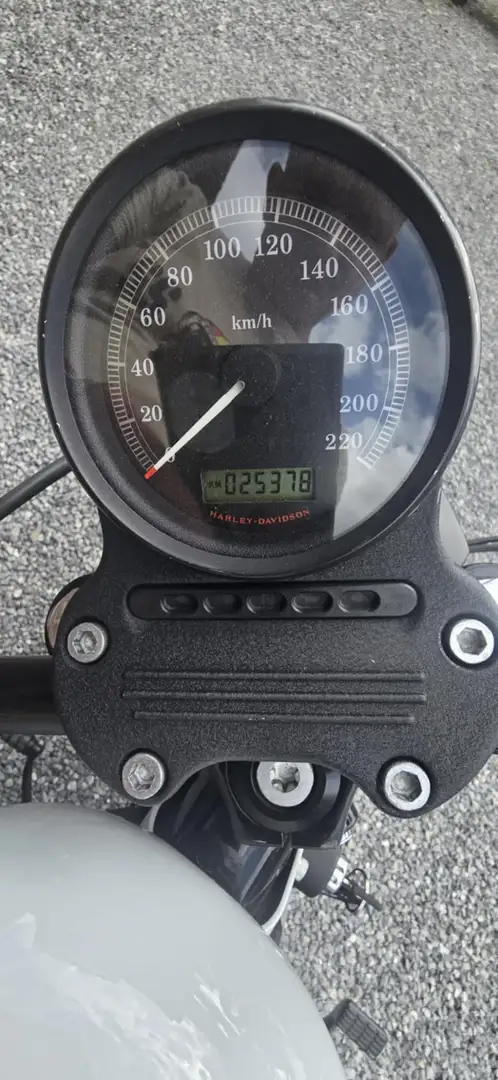 Harley-Davidson Iron 883 Blanc - 2