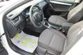 Skoda Octavia Combi 2,0 TDI 4x4 DSG/PDC-AHV-ALU-SITZHZG.- Weiß - thumbnail 10
