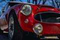 Austin-Healey 3000 Mk II "Rallye" Rot - thumbnail 10