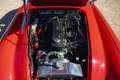 Austin-Healey 3000 Mk II "Rallye" Rot - thumbnail 4
