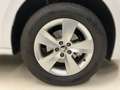 Skoda Kamiq 1.0 tsi ambition 110cv Blanc - thumbnail 8