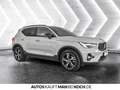 Volvo XC40 B4 Plus Dark ACC BLIS FSHz SHz PDC/CAM H&K! Grau - thumbnail 5