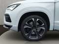CUPRA Ateca . Weiß - thumbnail 20