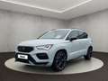 CUPRA Ateca . Weiß - thumbnail 1