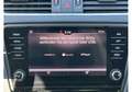 Skoda Octavia Combi 1.6 TDi DSG Ambition --NAVI-KAMERA Weiß - thumbnail 16
