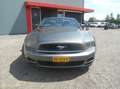 Ford Mustang USA 3.7 V6/ CABRIOLET Gris - thumbnail 2