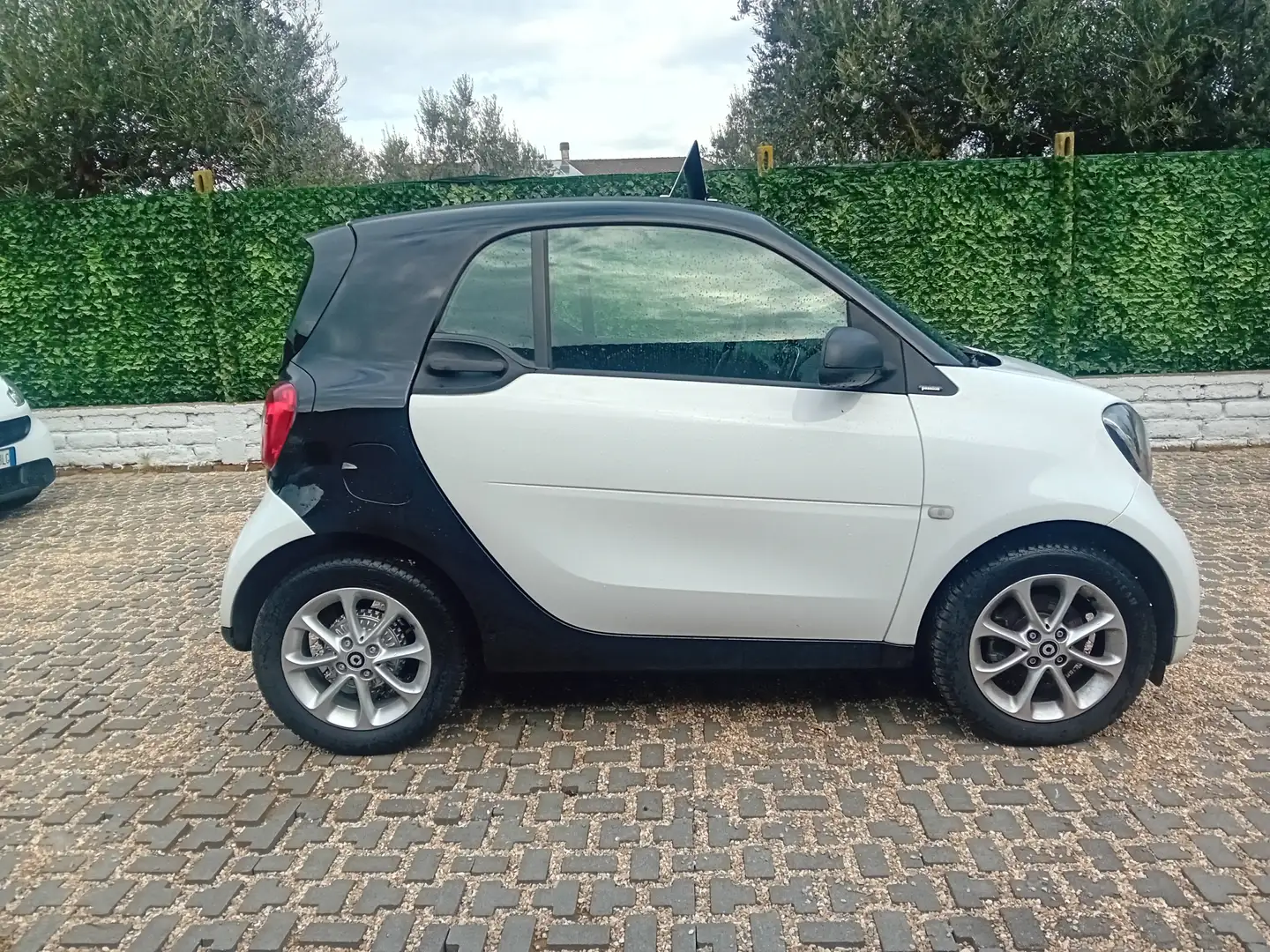 smart forTwo Fortwo 1.0 Passion 71cv twinamic my18 Blanc - 1