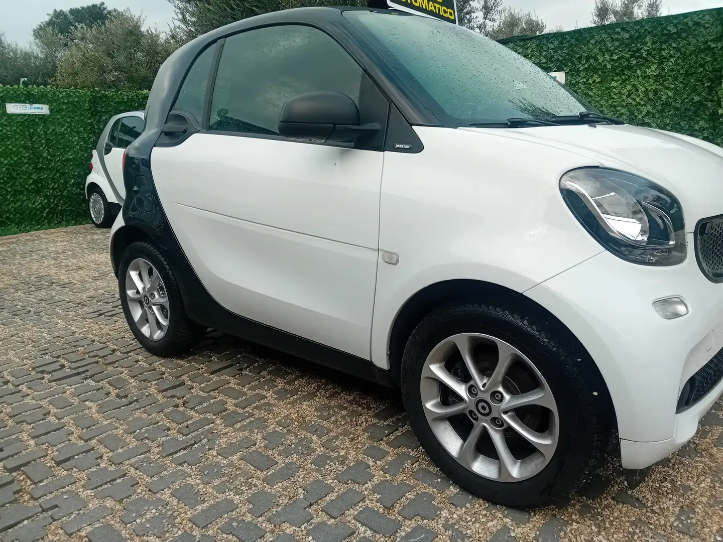 smart forTwo Fortwo 1.0 Passion 71cv twinamic my18 Blanc - 2
