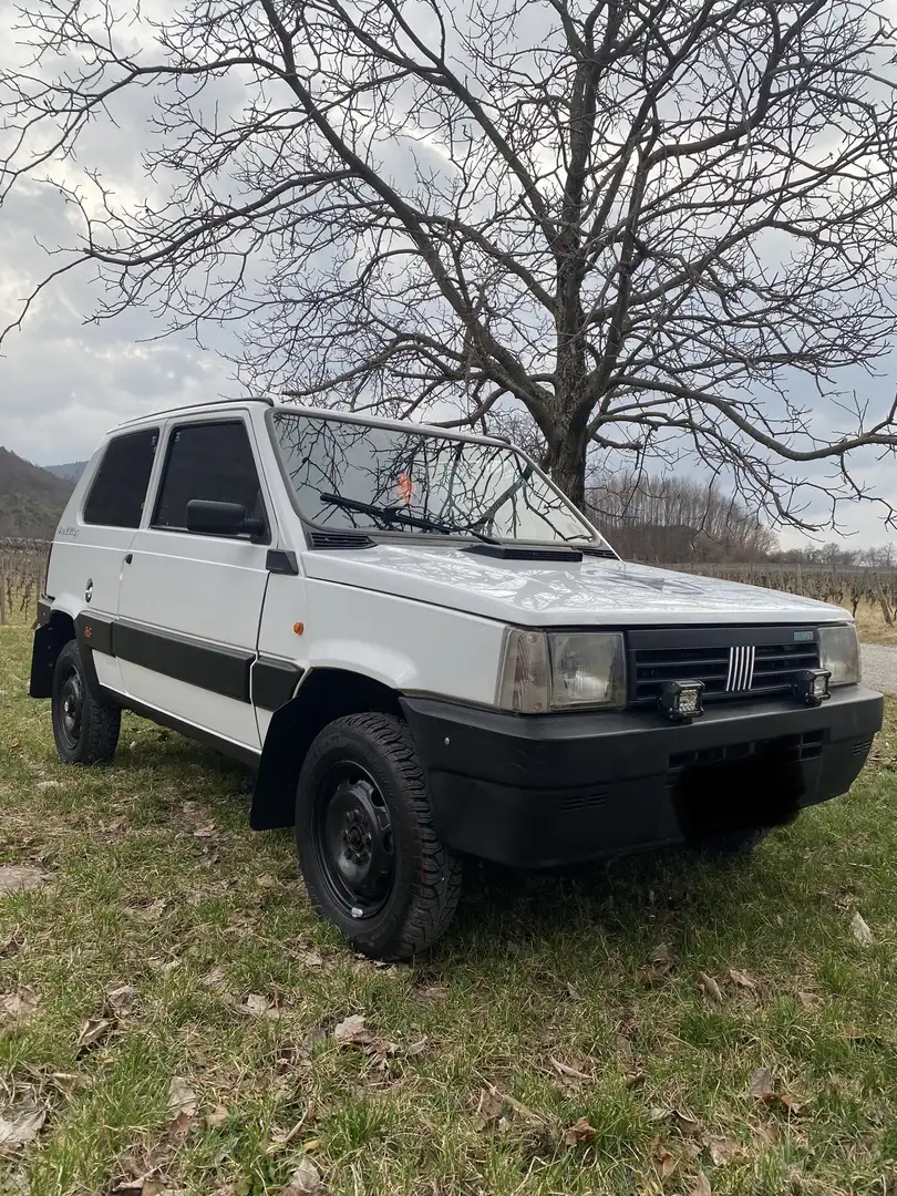 Fiat Panda 1.0 Trekking 4x4 - 1