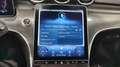 Mercedes-Benz C 300 Gris - thumbnail 29