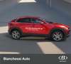Mazda CX-30 2.0L e-Skyactiv-X M-Hybrid 2WD Exclusive - thumbnail 14