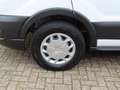 Ford Transit GB 350 L2H2 TDCi 105pk FWD Trend/ Trekhaak met 250 Blanco - thumbnail 9