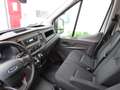 Ford Transit GB 350 L2H2 TDCi 105pk FWD Trend/ Trekhaak met 250 Blanco - thumbnail 31