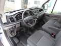 Ford Transit GB 350 L2H2 TDCi 105pk FWD Trend/ Trekhaak met 250 Blanco - thumbnail 8