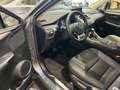 Lexus NX 300h Style Edition Grijs - thumbnail 5