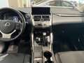 Lexus NX 300h Style Edition Сірий - thumbnail 6