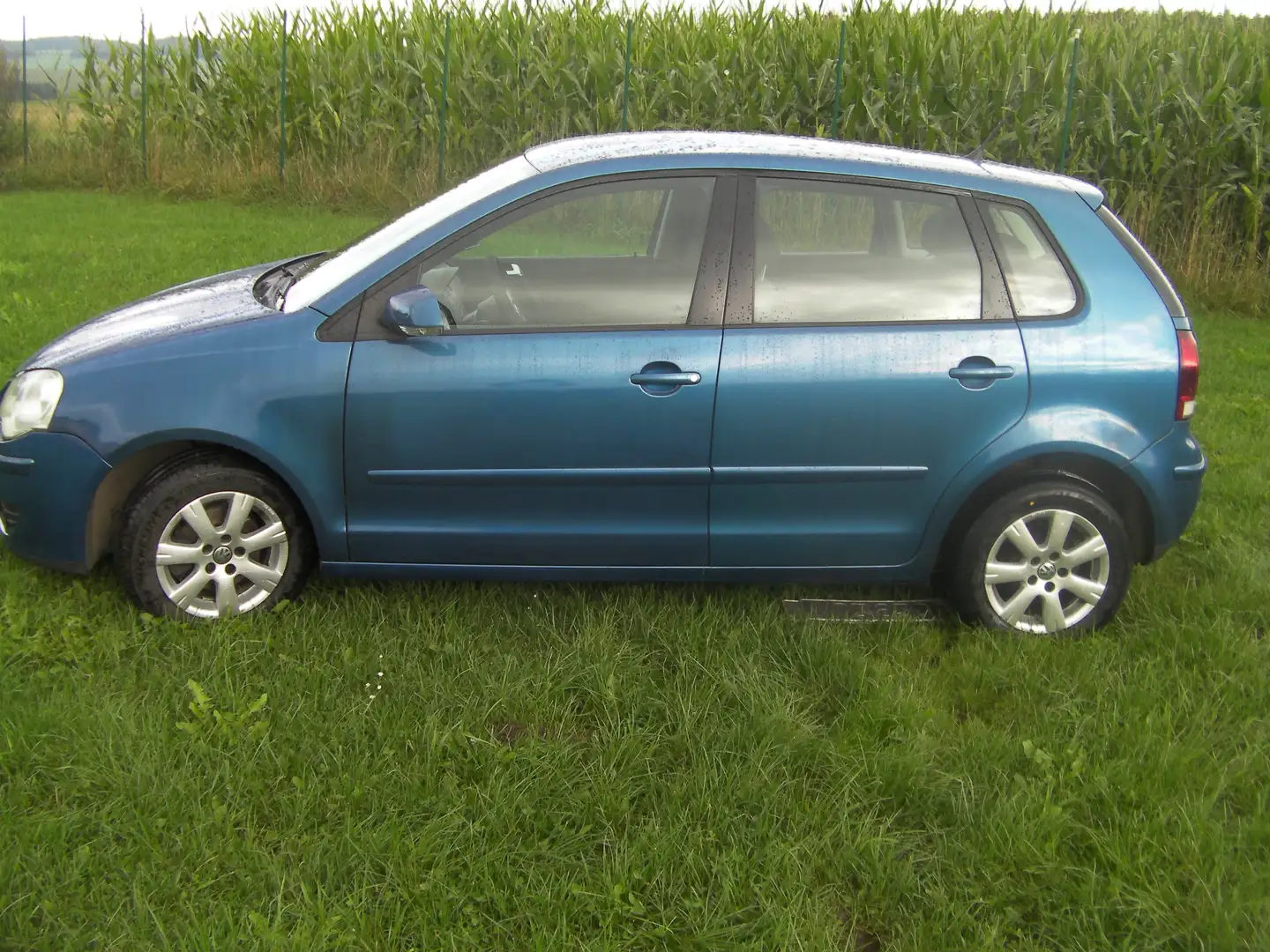 Volkswagen Polo Polo 1.4 TDI Trendline Bleu - 2