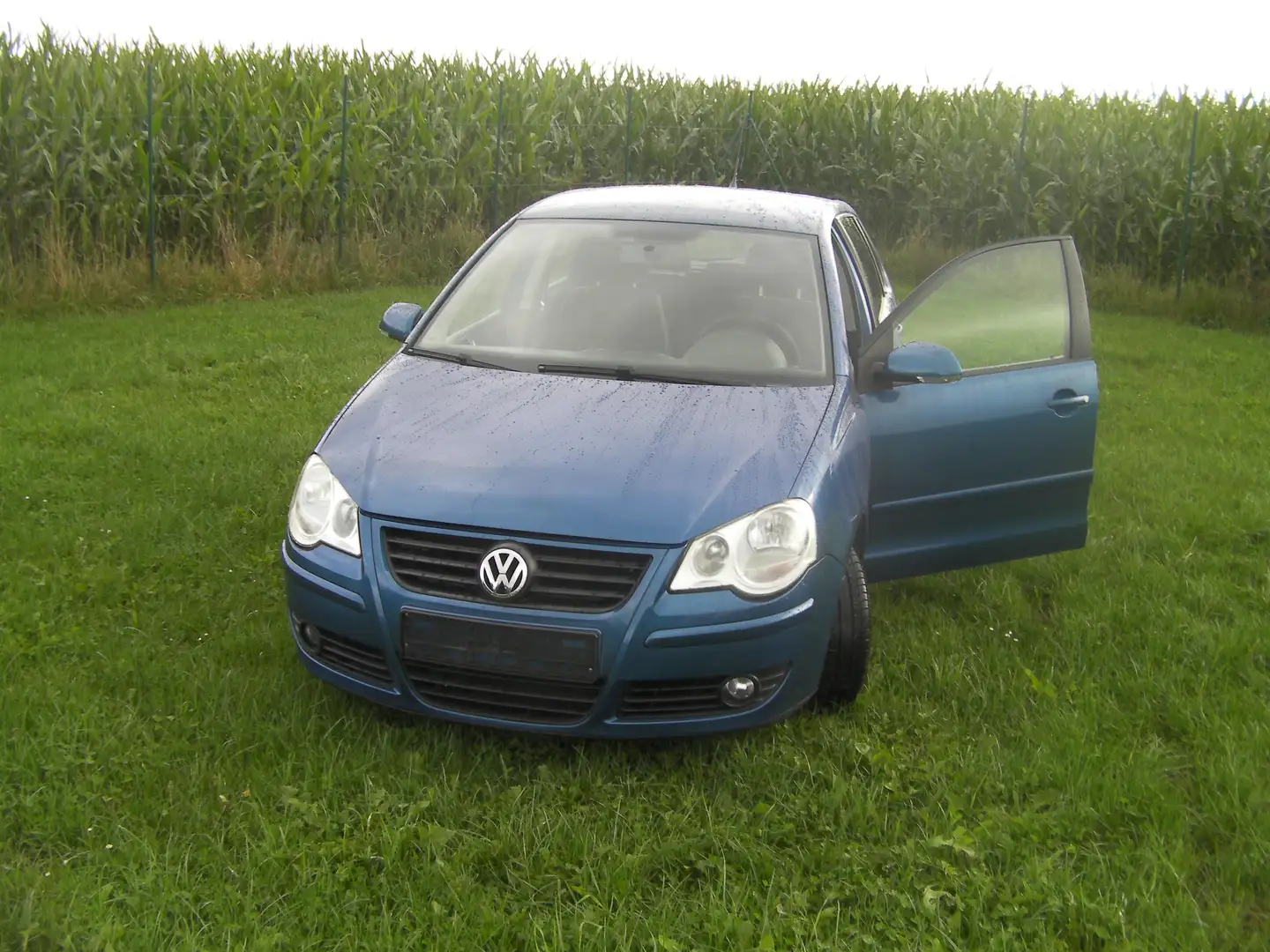Volkswagen Polo Polo 1.4 TDI Trendline Bleu - 1