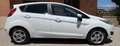 Ford Fiesta Fiesta VI 2013 5p 1.6 tdci Titanium 95cv Bianco - thumbnail 6