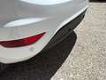Ford Fiesta Fiesta VI 2013 5p 1.6 tdci Titanium 95cv Bianco - thumbnail 8