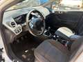Ford Fiesta Fiesta VI 2013 5p 1.6 tdci Titanium 95cv Bianco - thumbnail 14