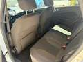 Ford Fiesta Fiesta VI 2013 5p 1.6 tdci Titanium 95cv Bianco - thumbnail 15