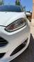Ford Fiesta Fiesta VI 2013 5p 1.6 tdci Titanium 95cv Bianco - thumbnail 11