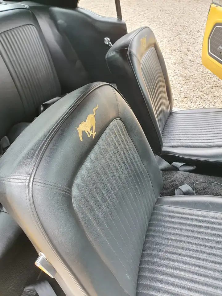 Ford Mustang, foto 9