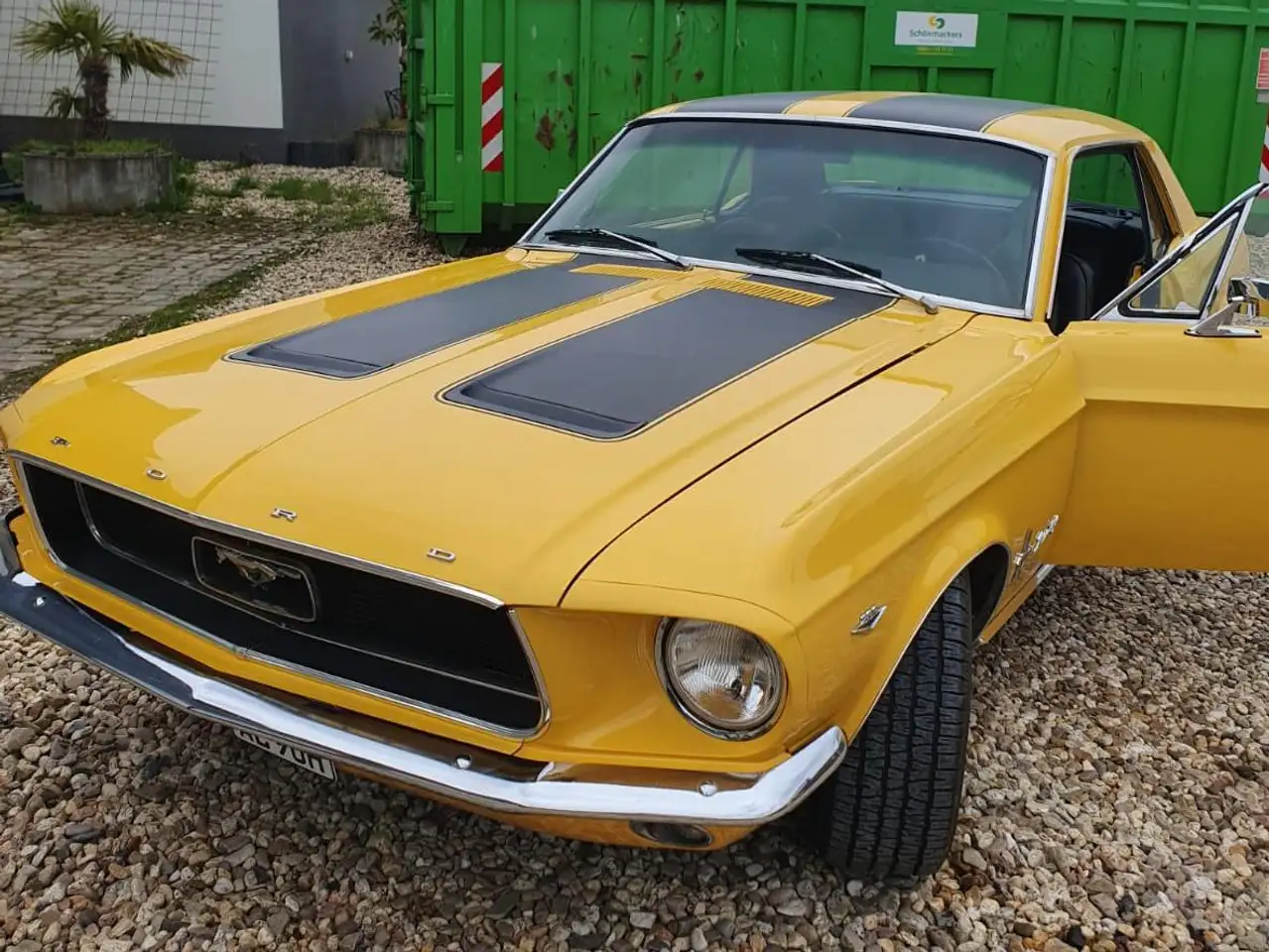 Ford Mustang, foto 2