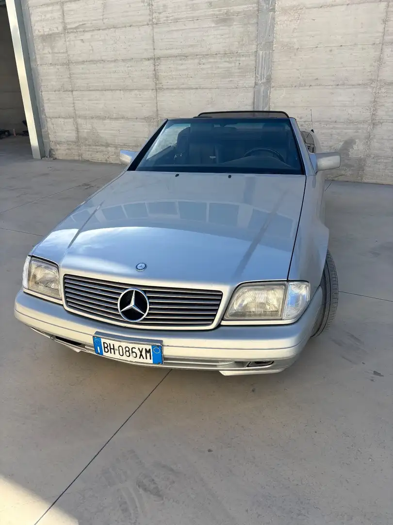 Mercedes-Benz SL 300 300 SL cat Grigio - 1