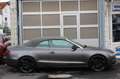Audi A5 Cabriolet 3.0 TFSI quattro*Xenon*Kamera*Szh Violett - thumbnail 6