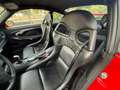 Porsche 996 GT3 * C07 * SEDILI CLUBSPORT * SERVICE * Rouge - thumbnail 9
