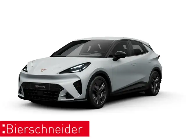 CUPRA Endurance Edition Dynamic 18 NAVI KAMERA