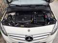 Mercedes-Benz B 200 200d Wit - thumbnail 25