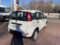 Fiat Panda MY24 1.0 Klima PDC Citypaket Weiß - thumbnail 4