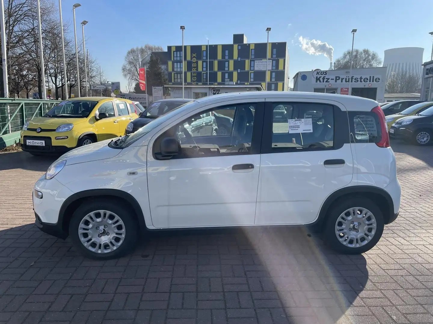 Fiat Panda MY24 1.0 Klima PDC Citypaket Weiß - 2