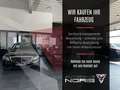 Mercedes-Benz CL 220d coupe*LED HIGH PERFORMANCE NAVI*AMBIENTE Grau - thumbnail 21