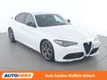 Alfa Romeo Giulia 2.0 Turbo Veloce Weiß - thumbnail 8