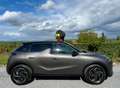DS Automobiles DS 3 Crossback 1.5 BlueHDi Grau - thumbnail 12