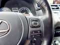 Lexus NX 300 h Style FLA, SpurH, LED, Navigation Grijs - thumbnail 20