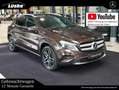 Mercedes-Benz GLA 220 GLA 220 d 4M Urban orientbraun AHK Spur DISTRONI Marrone - thumbnail 1
