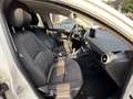 Mazda 2 (8") e-SKYACTIV G 90  MHybrid 6GS AL-HOMURA Bianco - thumbnail 7