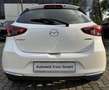 Mazda 2 (8") e-SKYACTIV G 90  MHybrid 6GS AL-HOMURA Bianco - thumbnail 4