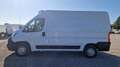 Fiat Ducato 33 2.3MultiJet 160cv Power Wit - thumbnail 5